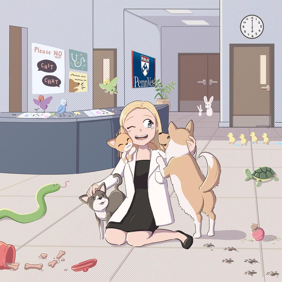 A Normal Day