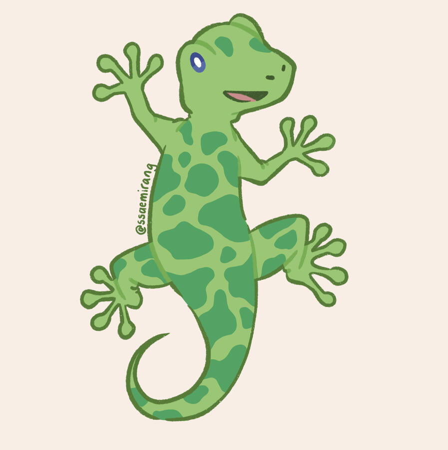 Gecko