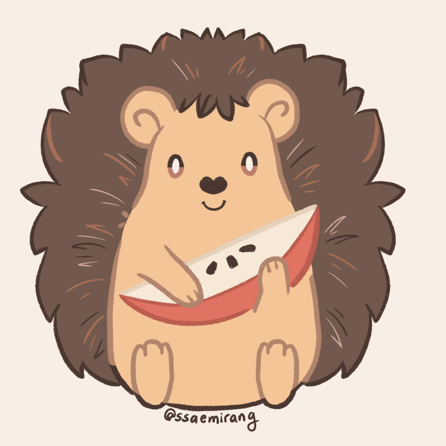 Hedgie