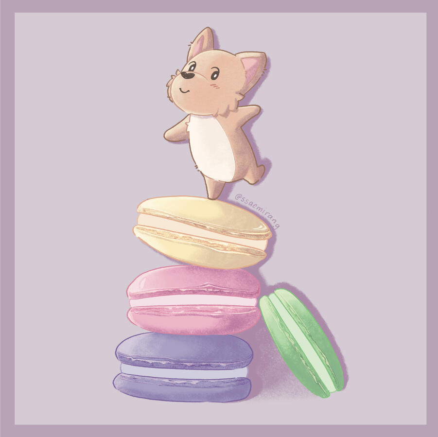 Macaroon Tower